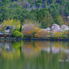 春景（広沢の池）