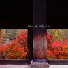 燃える様な紅葉３