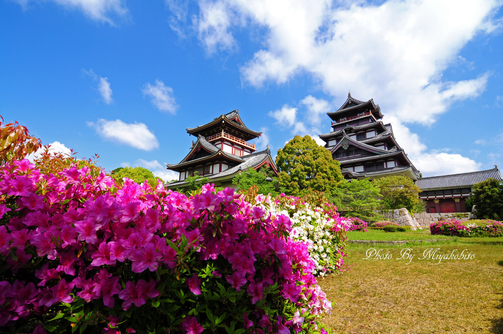 伏見桃山城　２