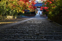 光明寺