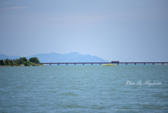 春の海
