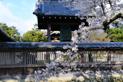 花の寺