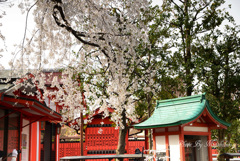 車折神社