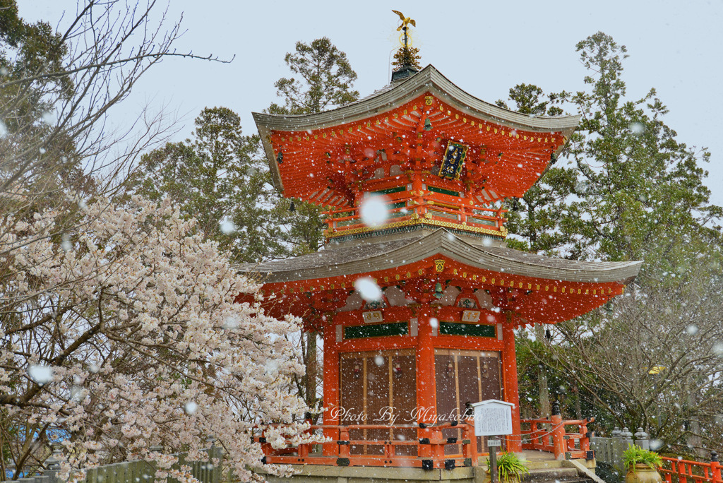吹雪