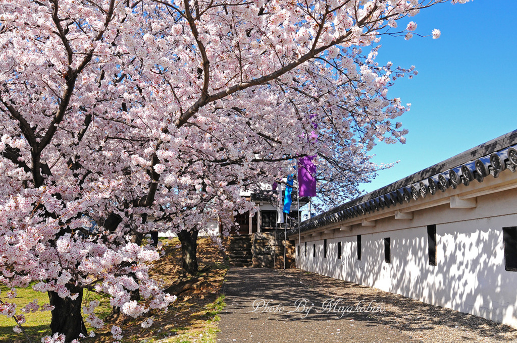 勝龍寺城