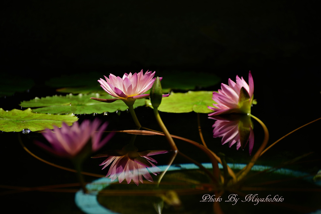 Reflection　3