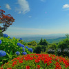 俯瞰（善峯寺）