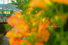 夏らしく