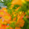 夏らしく