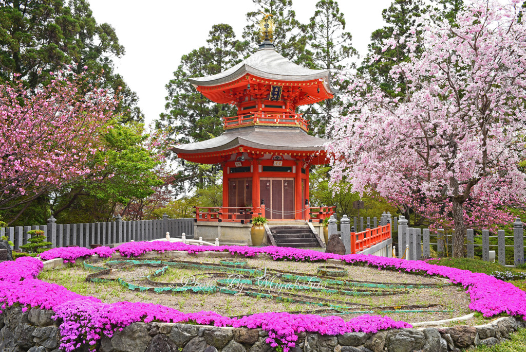 花の寺