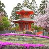 花の寺