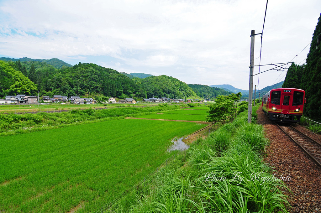赤鬼見たい？