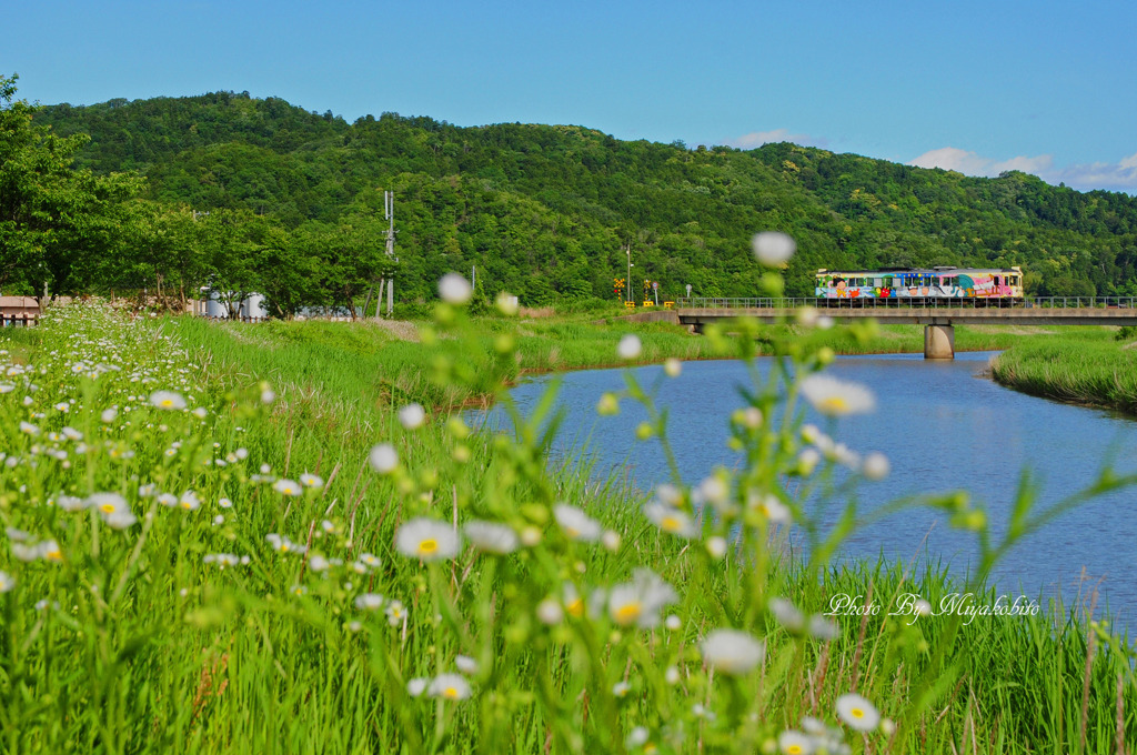 夏めく