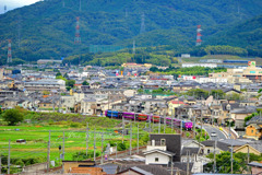 サンガトレイン