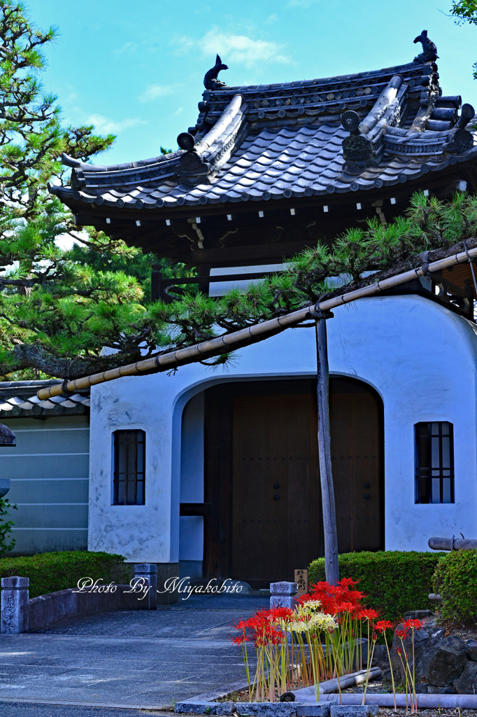 法住寺