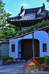 法住寺