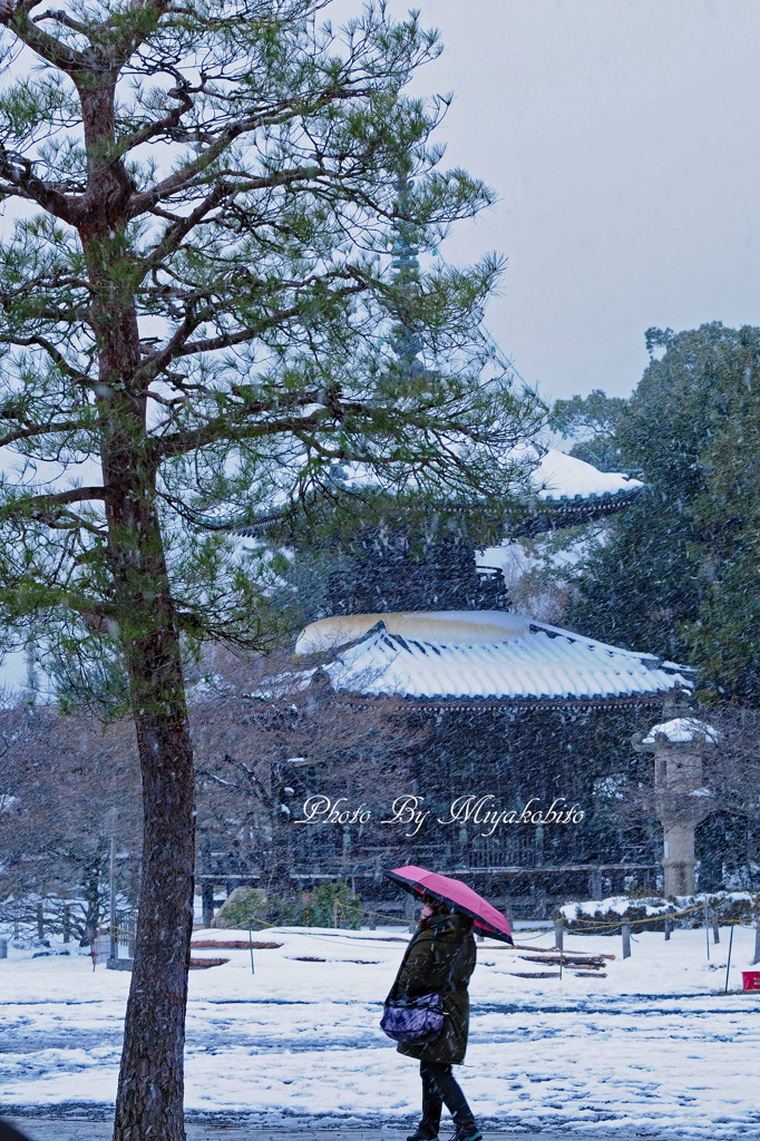雪が舞う２