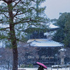 雪が舞う２