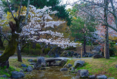 円山公園