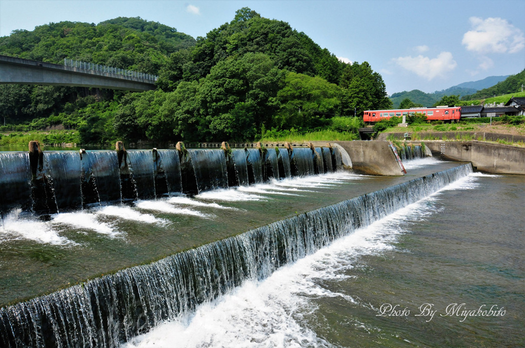 涼し気に