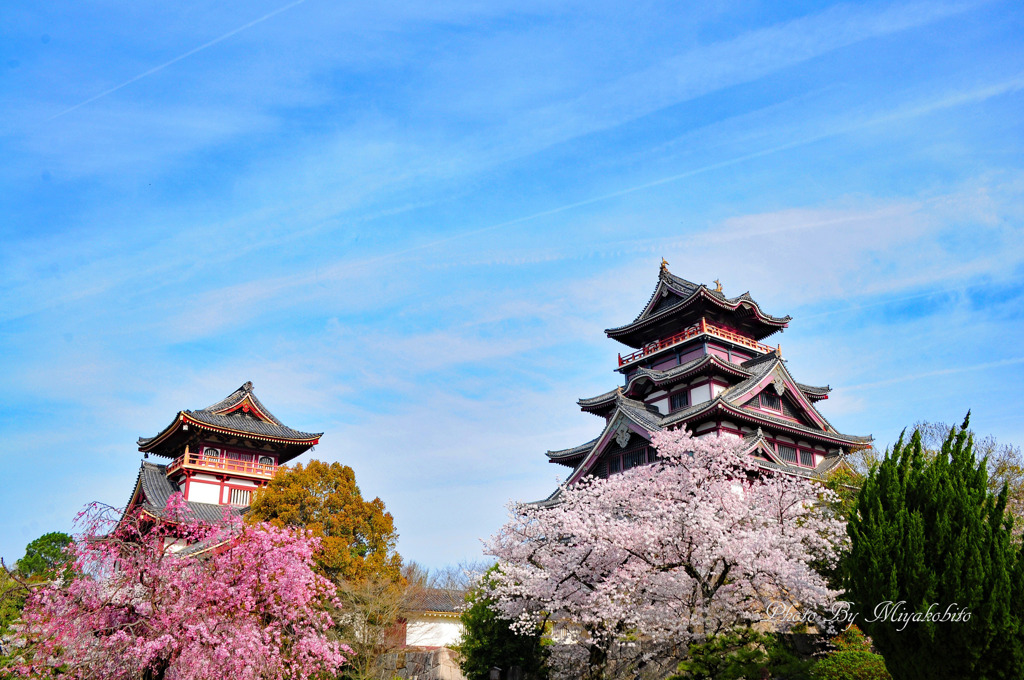 伏見桃山城