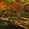 紅葉狩り