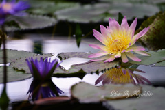 Reflection　2