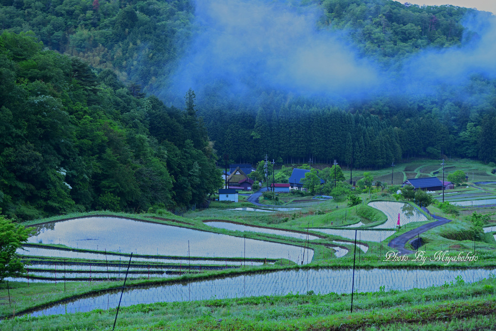 棚田