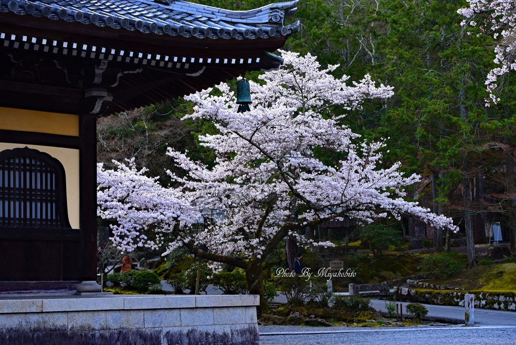 南禅寺
