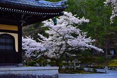 南禅寺