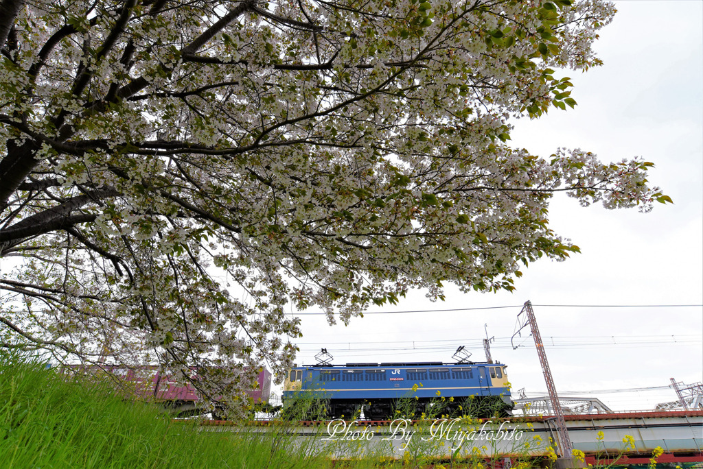 EF65-2070