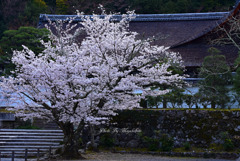 南禅寺2