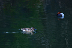 リフレクション