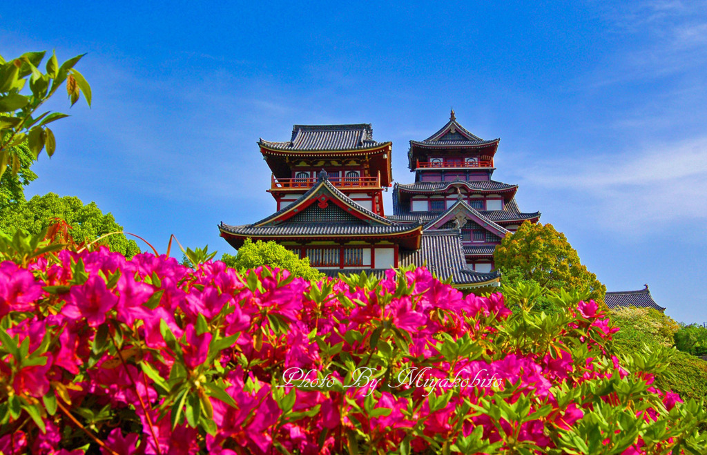 つつじと桃山城