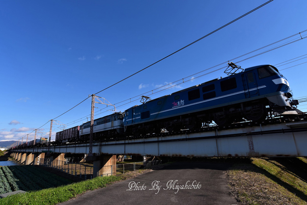 ムドＥＦ６５