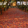 散紅葉の参道