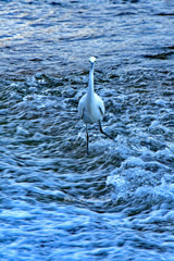 流れに負けるか！