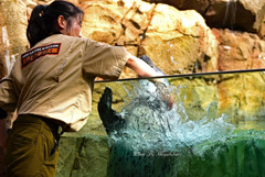 気持ち良いな～