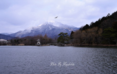 冠雪の伊吹山