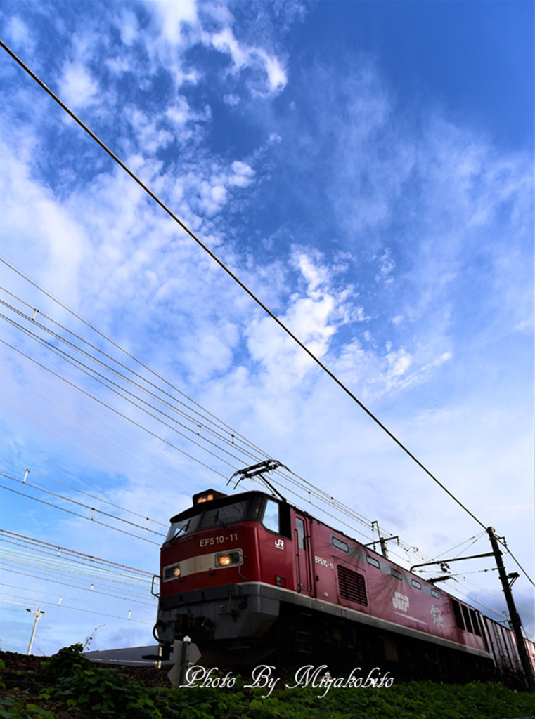 久し振りの青空