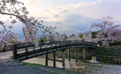 嵐山