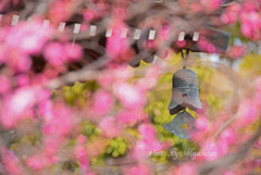 風鐸