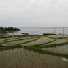 袖志の棚田