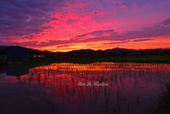 夕焼け小焼け