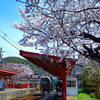 桜とひえい