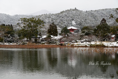 雪景色の多宝塔2