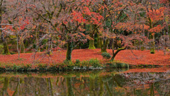 散り紅葉