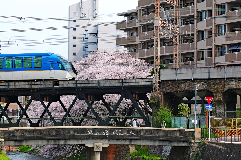 しまかぜ