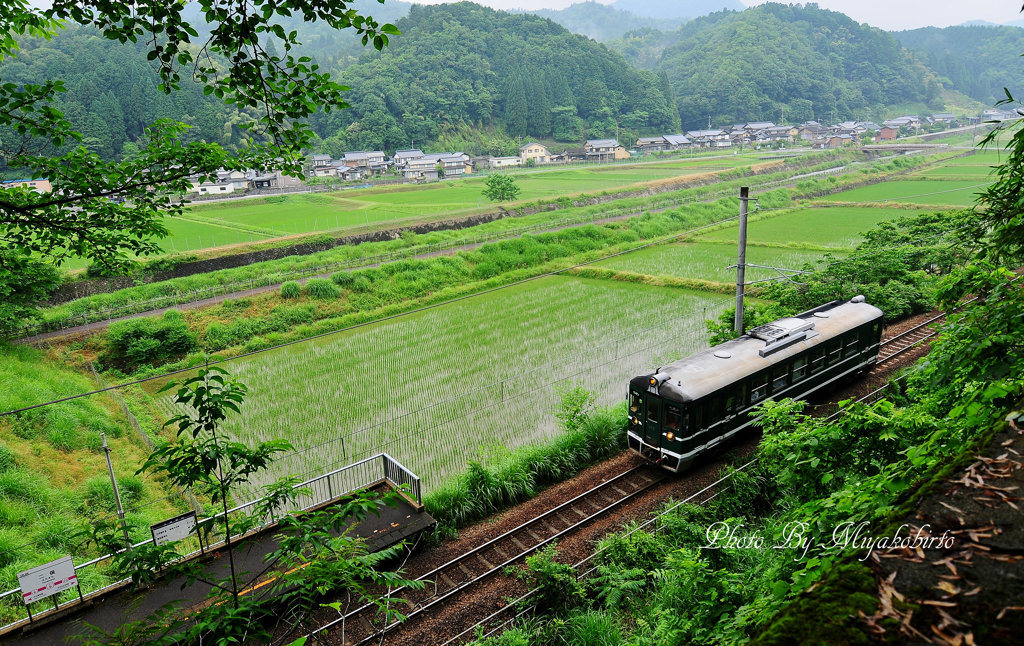 梅雨の晴れ間
