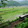 梅雨の晴れ間
